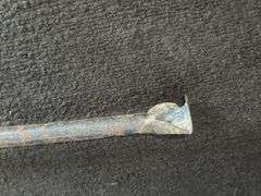 Vintage green bug sprayer