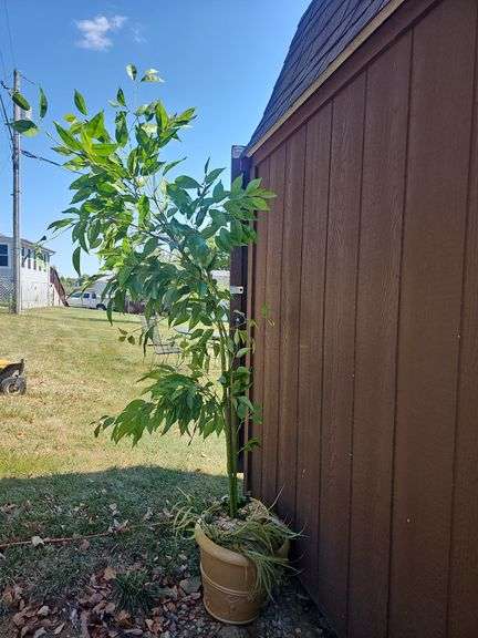 Artificial Bamboo Silk Tree