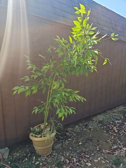 Artificial Bamboo Silk Tree