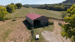 55.4 +/- Acres with 2 Barns