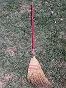 Ground Work Pole Saw & Wood Handled Broom