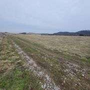 72+/- Acres in Lincoln County - The Gordon Farm