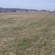 72+/- Acres in Lincoln County - The Gordon Farm