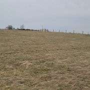 72+/- Acres in Lincoln County - The Gordon Farm