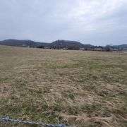 72+/- Acres in Lincoln County - The Gordon Farm
