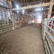 72+/- Acres in Lincoln County - The Gordon Farm