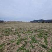 72+/- Acres in Lincoln County - The Gordon Farm