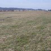 72+/- Acres in Lincoln County - The Gordon Farm