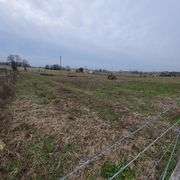 72+/- Acres in Lincoln County - The Gordon Farm