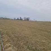 72+/- Acres in Lincoln County - The Gordon Farm