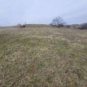 72+/- Acres in Lincoln County - The Gordon Farm