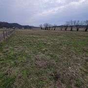 72+/- Acres in Lincoln County - The Gordon Farm