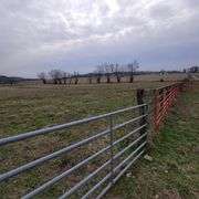 72+/- Acres in Lincoln County - The Gordon Farm