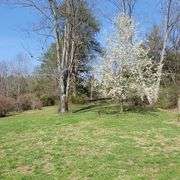 1265 Black Lick Rd. Gravel Switch - 15+/- Acre Get-A-Way with Cabin and Garage