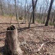 1265 Black Lick Rd. Gravel Switch - 15+/- Acre Get-A-Way with Cabin and Garage