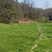 1265 Black Lick Rd. Gravel Switch - 15+/- Acre Get-A-Way with Cabin and Garage