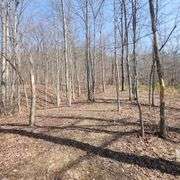 1265 Black Lick Rd. Gravel Switch - 15+/- Acre Get-A-Way with Cabin and Garage