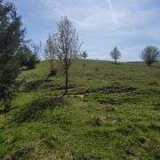 3 Bed 2 Bath Home on 9+/- Acres - Boyle County