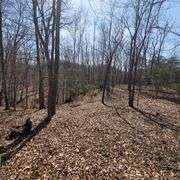 1265 Black Lick Rd. Gravel Switch - 15+/- Acre Get-A-Way with Cabin and Garage