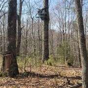 1265 Black Lick Rd. Gravel Switch - 15+/- Acre Get-A-Way with Cabin and Garage