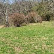 1265 Black Lick Rd. Gravel Switch - 15+/- Acre Get-A-Way with Cabin and Garage