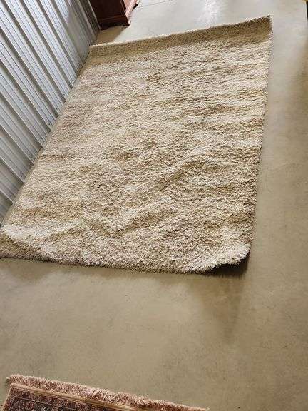 Light colored area rug