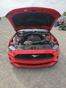 2020 Mustang Echo Boost Premium Convertible