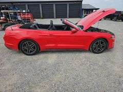 2020 Mustang Echo Boost Premium Convertible