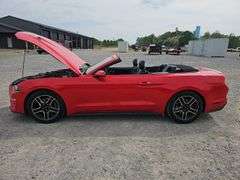 2020 Mustang Echo Boost Premium Convertible