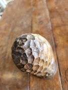 Vintage Hand Carved Wooden Decor