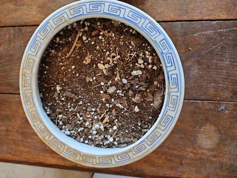 Floral Decorative Ceramic Flower Pots