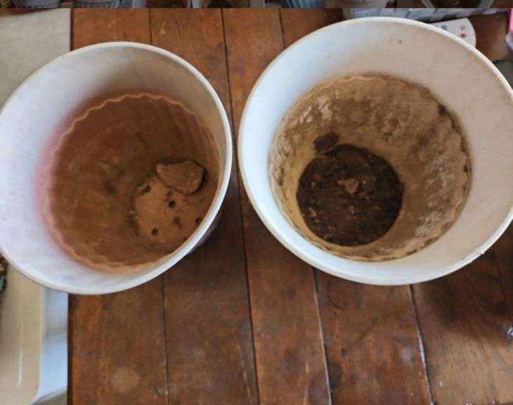 Plastic Flower Pots