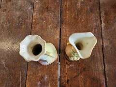 Bud Vases