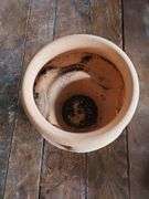 Variety of Plastic Planters, Small Ceramic Planters, Vintage-style Terracotta Strawberry Planter & T