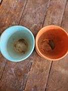 Vintage McCoy Pottery Planters