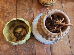 Ceramic Flower Pots