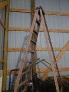 Werner fiber glass step ladder