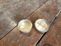 Vintage Persian Trinket or Pill Box with Mother of Pearl Lid & Vintage Porcelain Trinket Dish