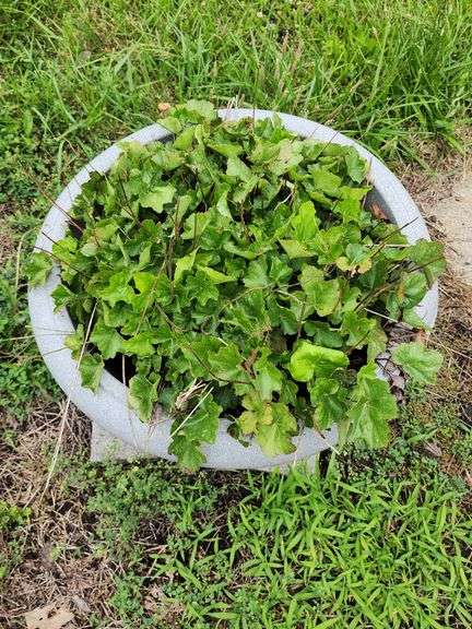 Large Plastic Resin Planter