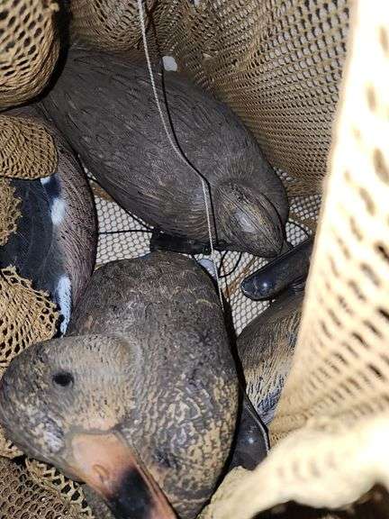 Mesh Bag of Duck Decoy's