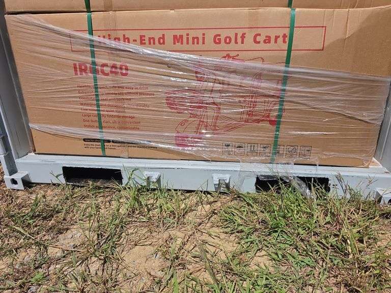 High-End Mini  Electric Golf Cart