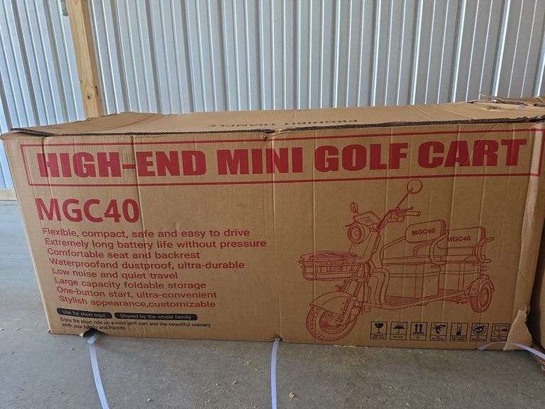SDLanch High-End Mini Electric Golf Cart