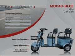 SDLanch High-End Mini Electric Golf Cart
