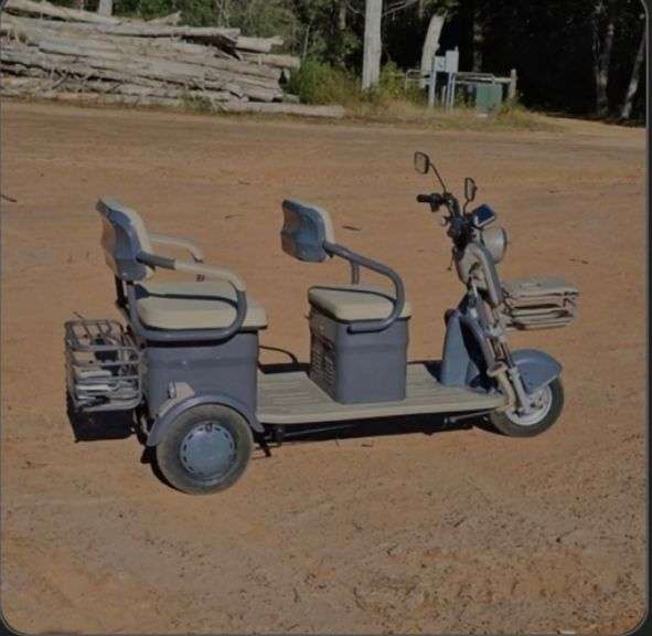 SDLanch High-End Mini Electric Golf Cart