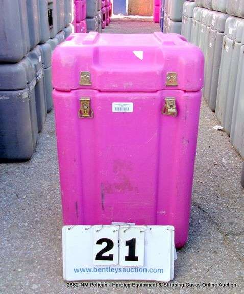 HARDIGG PINK CASE, 14" X 14" X 22"
