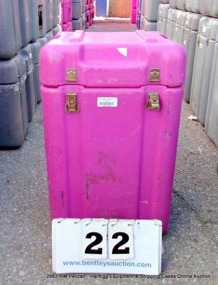 HARDIGG PINK CASE, 14" X 14" X 22"