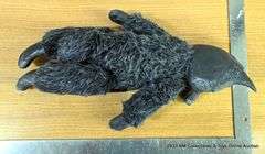 VINTAGE PORCELAIN DOLL: CAT