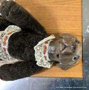 VINTAGE PORCELAIN DOLL: DOG