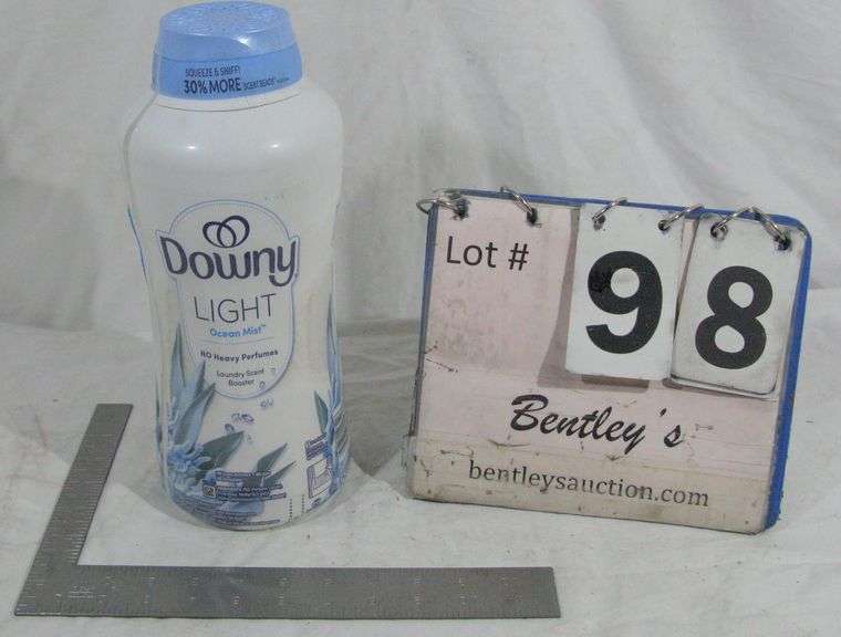 DOWNY LIGHT OCEAN MIST LAUNDRY BOOSTER SCENT