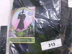 WICKED WITCH COSTUME